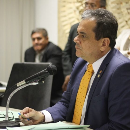 Combate a queimadas será discutido em audiência pública da Alepi