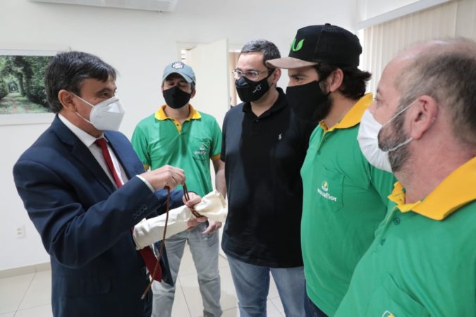 Após mais uma recorde, produtores do Piauí planejam investimento para safra 21/22