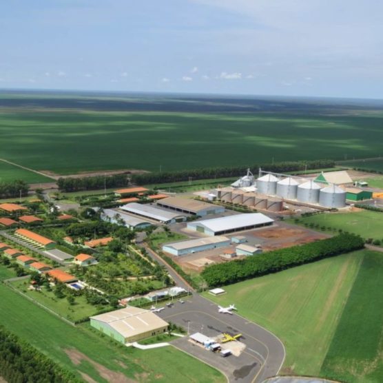 Abertura Nacional da colheita de soja acontecerá no Piauí