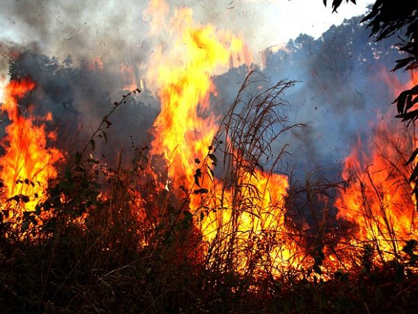 Focos de incêndio tiveram alta de 120% no Piauí em julho